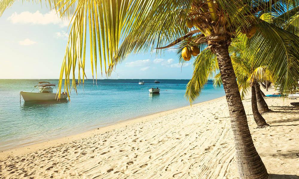 Cyber Week Savings on Family Packages!