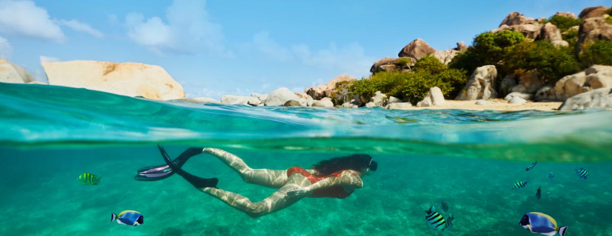 Les meilleurs sites de plongée dans les Antilles